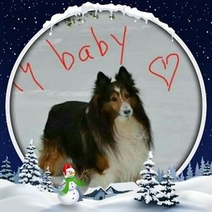 Meet your Posher, Patty